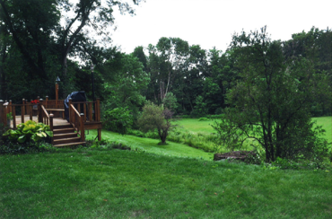 Brush clearing land clearing service