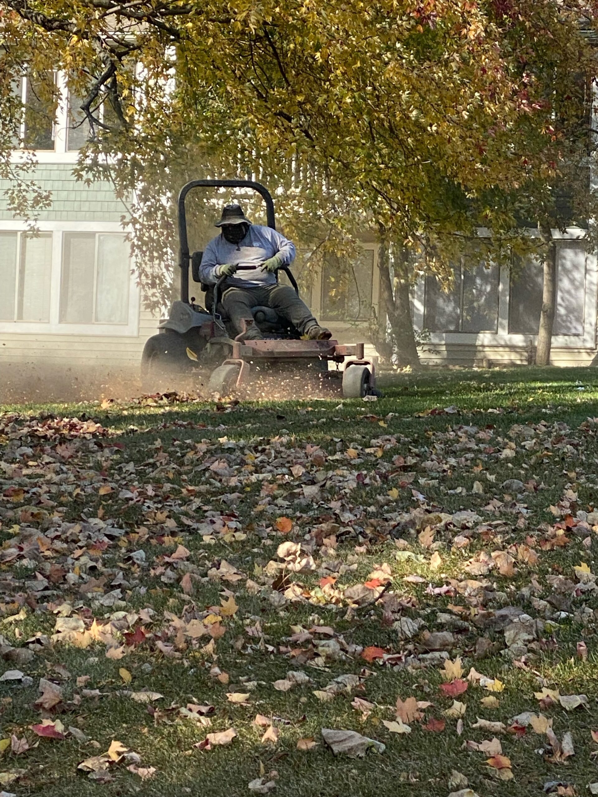 Commercial brush clearing mowing additional services