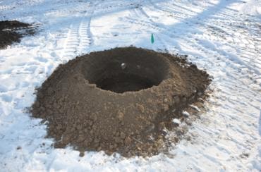 Tree planting installation landscaper residential