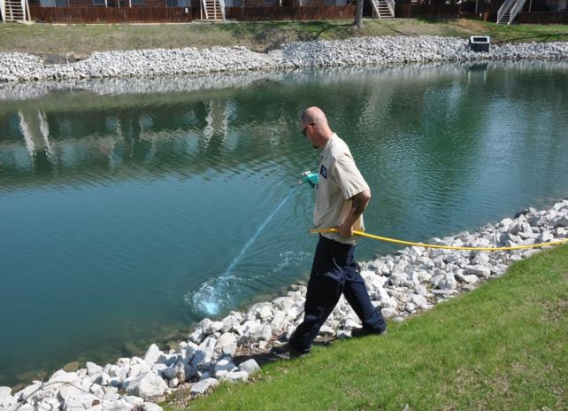 Pond algae control copper sulfate treatment lake