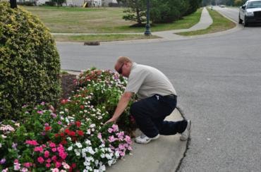 Man tending pink and white flowers in driveway planting bed