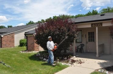 TREE & SHRUB CARE