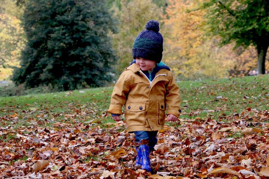 5 Fall Lawn Care Essentials for a Beautiful Spring Lawn
