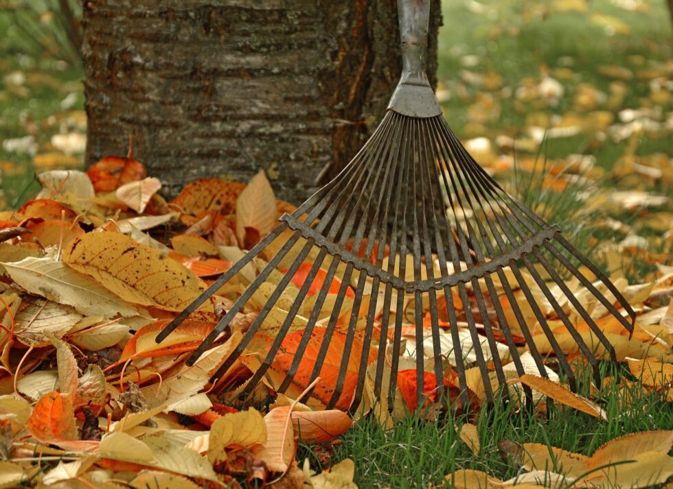 7 Point Fall Lawn and Garden Clean-up Checklist