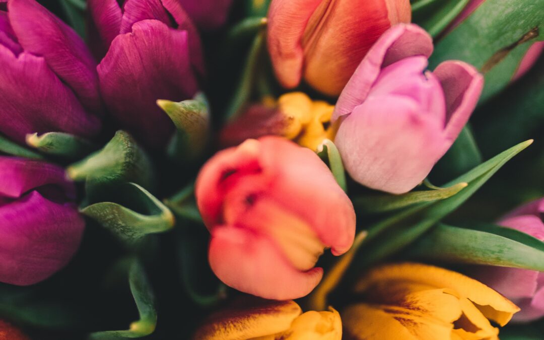 13 Fun Spring Facts to Spring on You