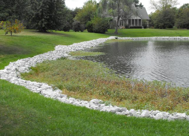 Controlling Aquatic Weeds