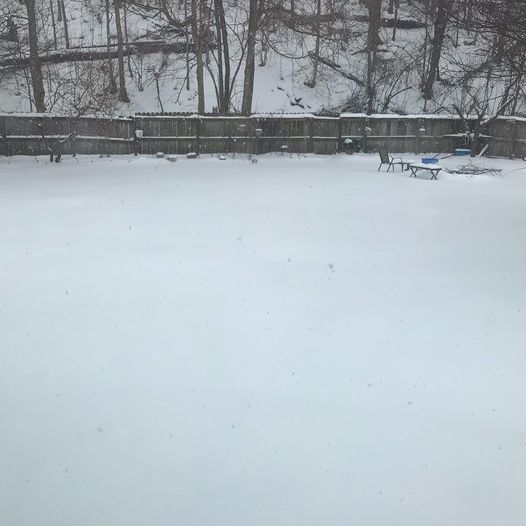 FAQ: Can Snow Damage my Lawn?