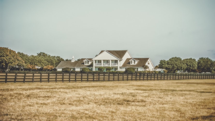 How Summer Heat Affects Your Lawn and What to Do about it