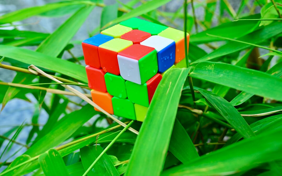 Landscaping Is Problem-Solving