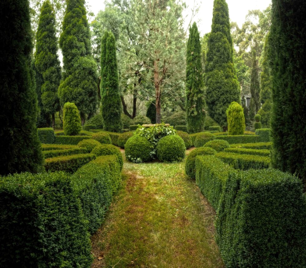 Should Your Trees and Bushes Be Sprayed?