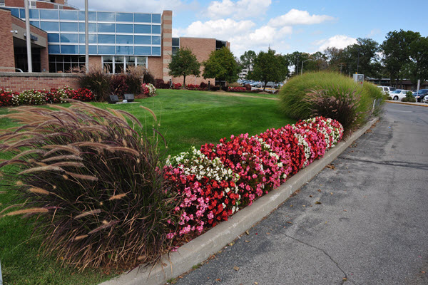 The Benefits of Commercial Lawn Mowing for Your Business