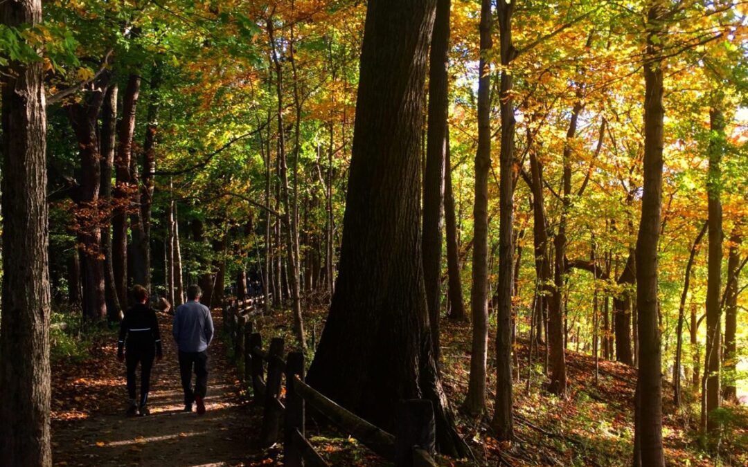 The Health and Wellness Benefits of Hiking