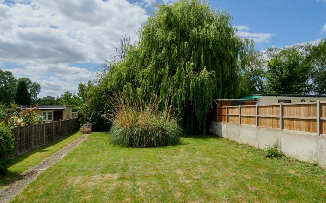 What is Grass Rust, and How Can it Be Controlled?