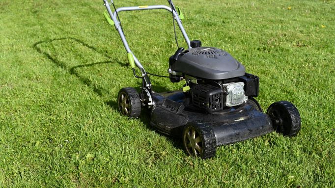 What to Know Before You Mow