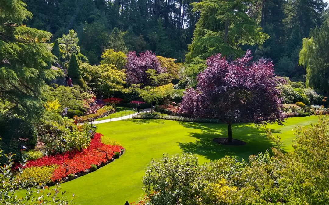 What’s the Best Landscaping Grass?