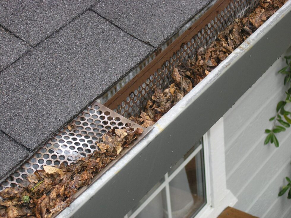 When Should You Clean Your Gutters?