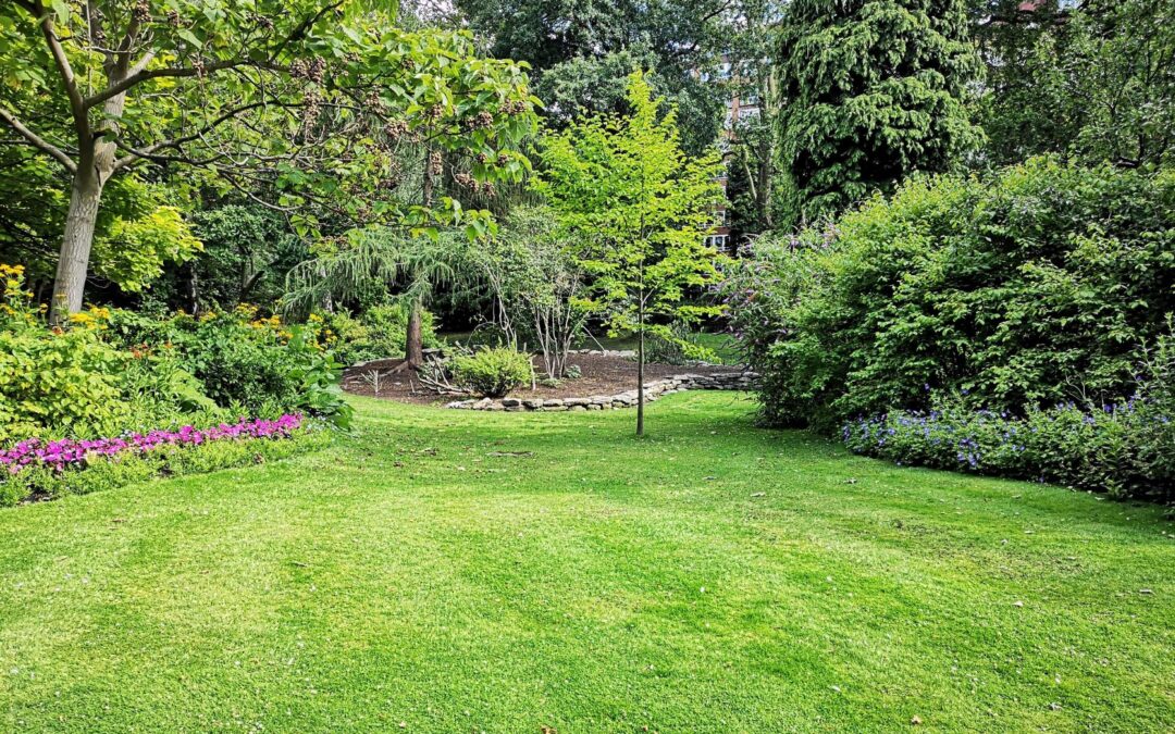 When Should You Prune Your Shrubs, Bushes, and Trees?